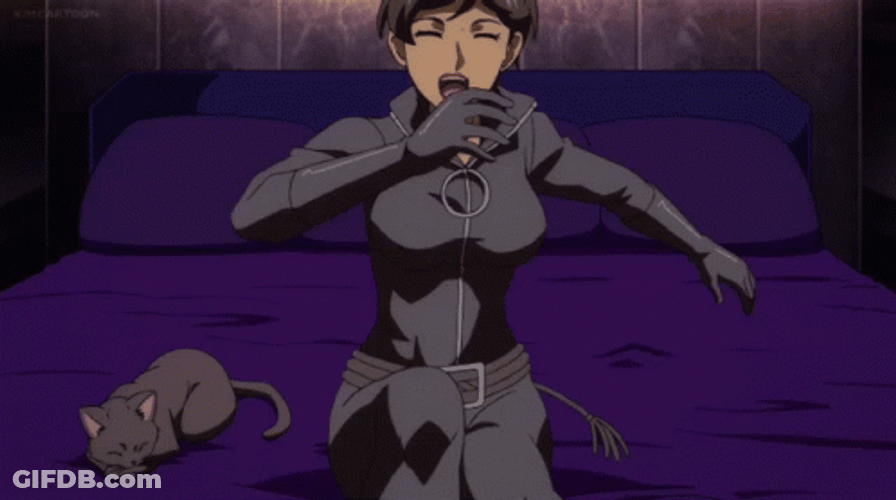 Cartoon Catwoman On The Bed GIF