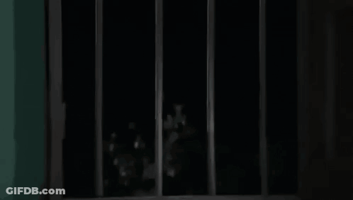 Cartoon Character Behind Bars Saying What's Going On GIF