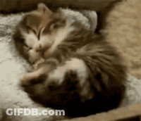 Cartoon Character Close Up GIF