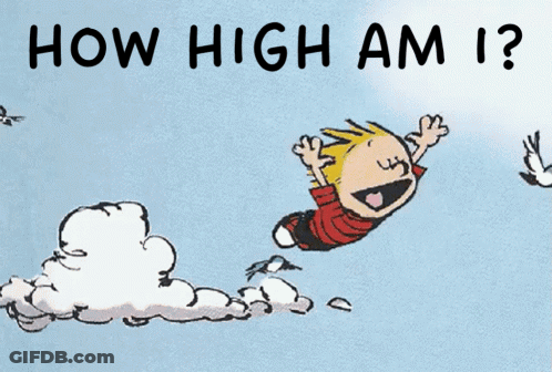 Cartoon Character Flying Saying How High Am I GIF