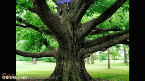 Cartoon Character Hanging From Tree GoAnimate For Schools GIF