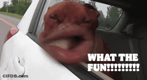 Cartoon Character Hey Wait Minute What The Hell GIF