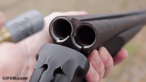 Cartoon Character Holding Shotgun That's It Maid Outfit GIF