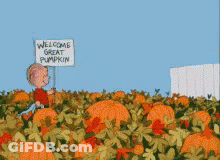 Cartoon Character Holding Welcome Great Pumpkin Sign In Pumpkin Field GIF