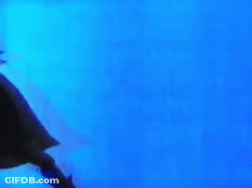 Cartoon Character In Black Cape And Hat GIF