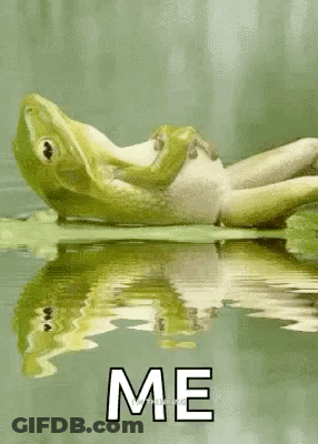 Cartoon Character In Chair With CD Player Saying Groove GIF