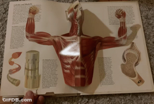 Cartoon Character In Flex Shirt Crying GIF