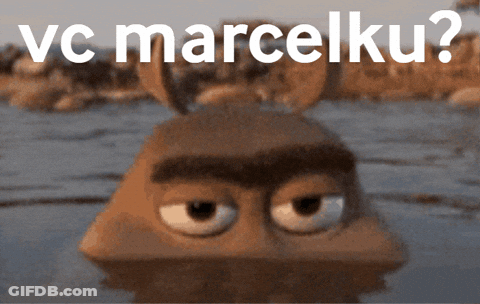Cartoon Character In Water Saying Vc Marcelku GIF
