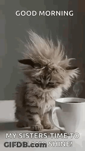 Cartoon Character It's My Time To Shine GIF