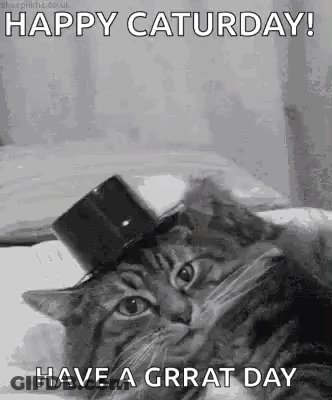Cartoon Character Saying Avery Clever Parrot GIF