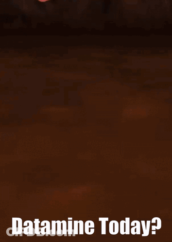 Cartoon Character Saying Datamine Today GIF