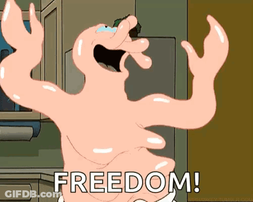 Cartoon Character Saying Freedom With Hands Up GIF
