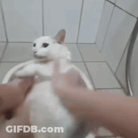 Cartoon Character Saying Git Gud Scrub GIF