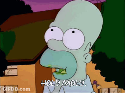 Cartoon Character Saying Holy Moly GIF