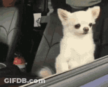 Cartoon Character Saying Hooray GIF