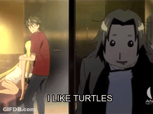 Cartoon Character Saying I Like Turtles GIF