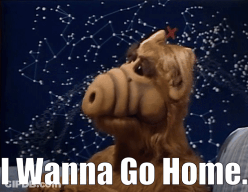 Cartoon Character Saying I Wanna Go Home Starry Sky GIF