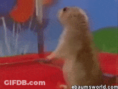 Cartoon Character Saying Please Ohana Family GIF
