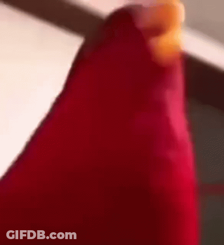 Cartoon Character Saying The Cold Never Bothered Me Anyway GIF