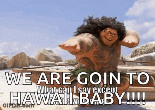 Cartoon Character Saying We Are Going To Hawaii GIF