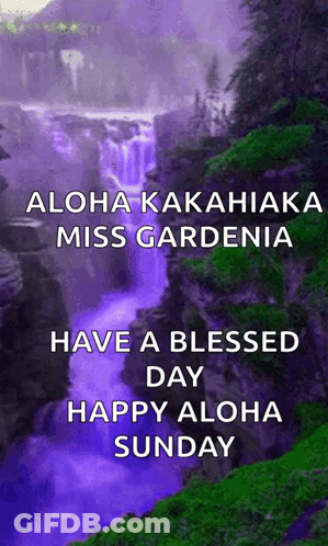 Cartoon Character Saying We Are Going To Hawaii GIF