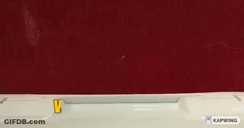 Cartoon Character Saying Weee GIF