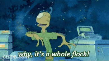 Cartoon Character Saying Why It's A Whole Flock GIF