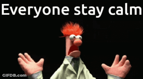 Cartoon Character Says Everyone Stay Calm GIF