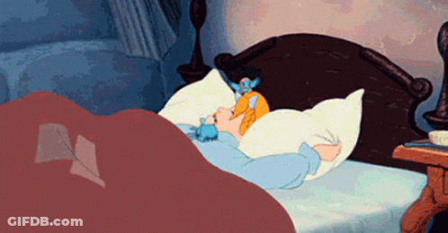 Cartoon Character Sleeping With Stuffed Animal On Head GIF