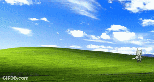 Cartoon Character Standing In Green Field GIF