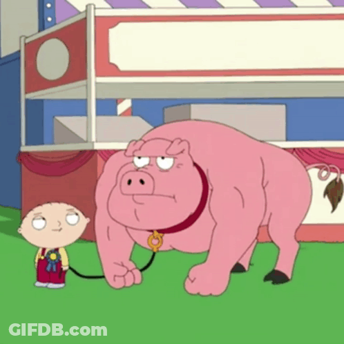 Cartoon Character Standing Next To Pig GIF
