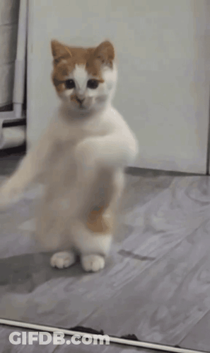 Cartoon Character Wearing Headphones With Music Notes GIF