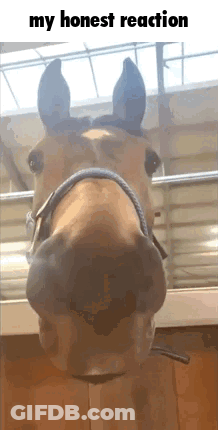 Cartoon Character Wearing Mask In Front Of Door GIF