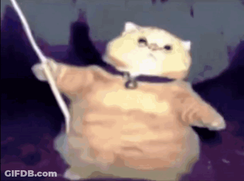 Cartoon Character With Beard And Dollar Hat GIF
