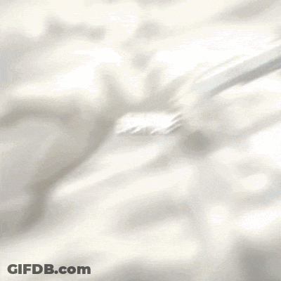 Cartoon Character With Blue And White Fish GIF