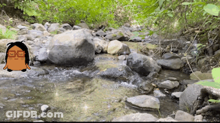Cartoon Character With Glasses Standing Next To Stream Of Water GIF