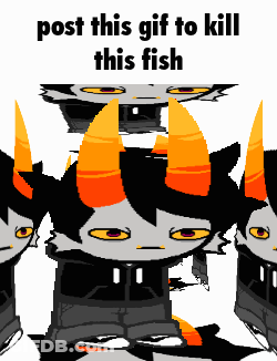Cartoon Character With Horns Post This GIF To Kill This Fish GIF