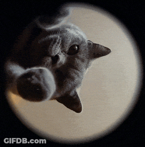 Cartoon Character With Musical Note On Head GIF