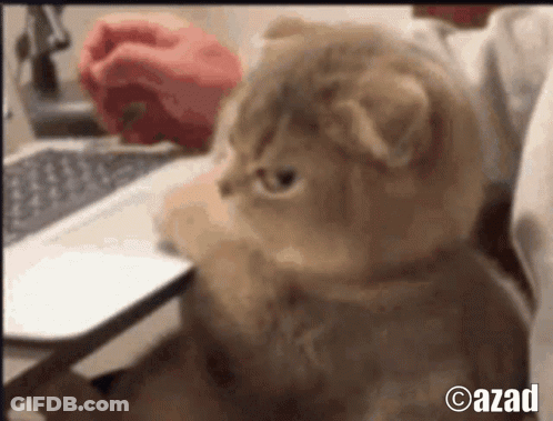 Cartoon Character With Number 0 On Chest GIF