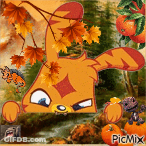 Cartoon Character With Picmix GIF