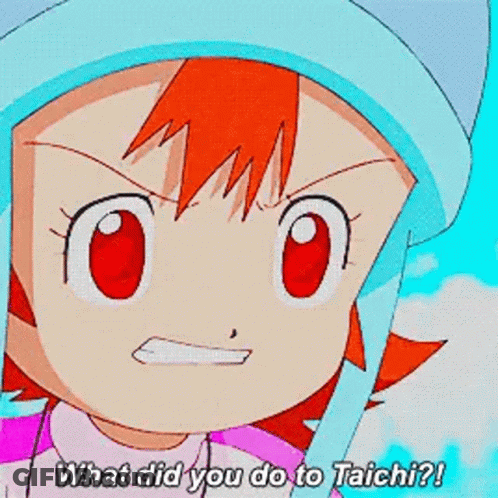 Cartoon Character With Red Hair And Hat Saying What Did You Do To Taichi GIF