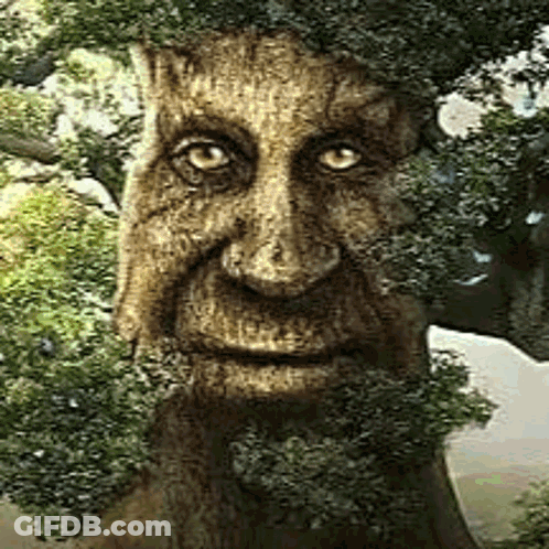 Cartoon Characters Next To Open Book GIF
