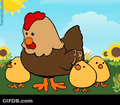 Cartoon Chicken And Three Chicks With Framwhiteside GIF