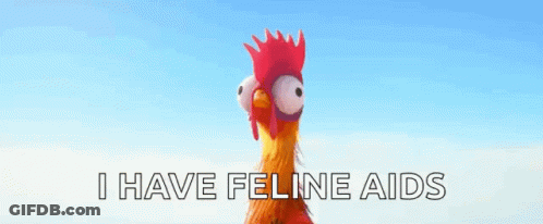 Cartoon Chicken Mask I Have Feline Aids GIF