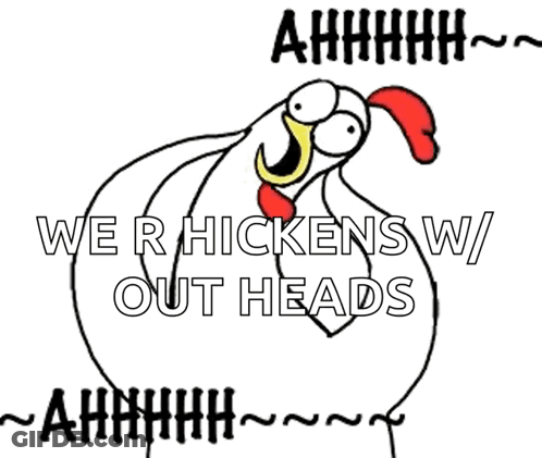 Cartoon Chicken Saying We R Hickens W Out Heads GIF