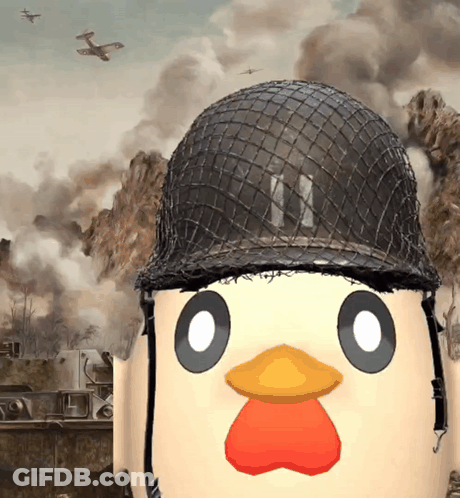 Cartoon Chicken Wearing Military Helmet With Letter N GIF