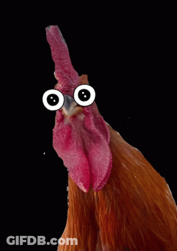 Cartoon Chicken With Big Eyes Red Crest Dancing GIF