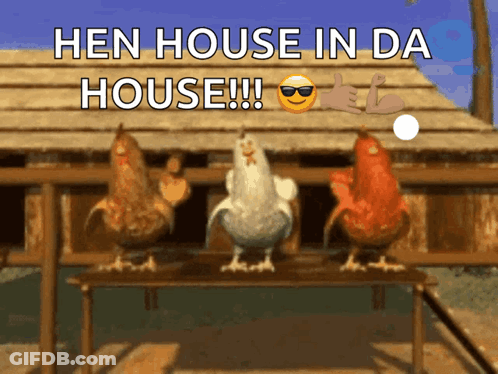 Cartoon Chicken With Glasses And Dreadlocks GIF