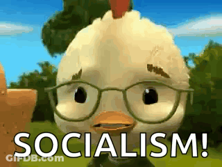Cartoon Chicken With Glasses Saying Socialism GIF