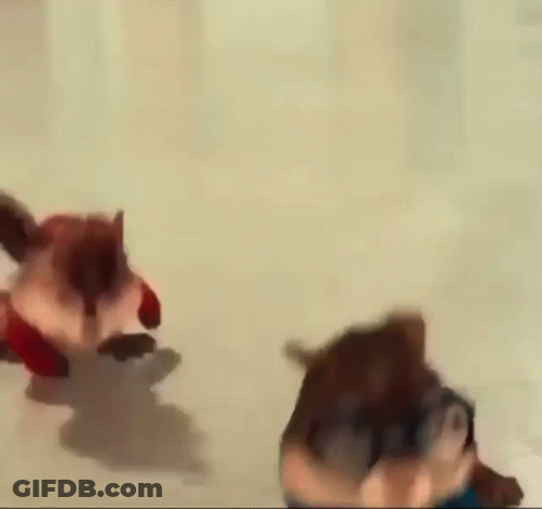 Cartoon Chipmunk Walking In Blue Sweater And Glasses GIF